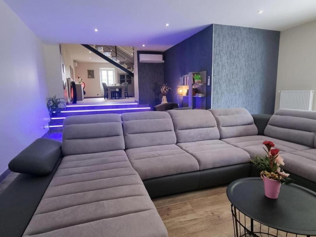 Gite Du Chateau Montrond-les-Bains Extérieur photo